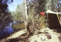 bush camp 01