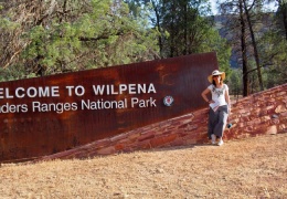 Wilpena Pound camping and hiking