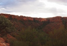 Kings Canyon walk is spectacular