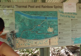 Mataranka Hot Springs in Elsey National Park