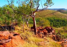 Lawn Hill National Park