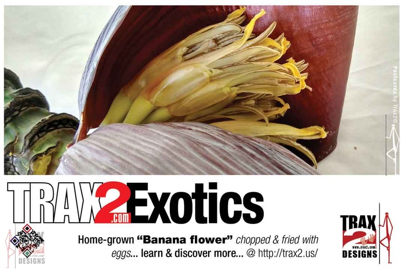 trax2-bananaflower-0.jpg