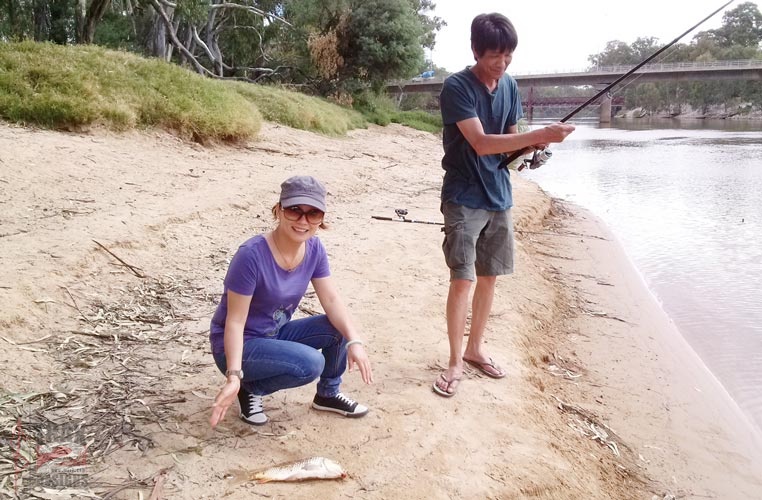 fishing-murray-river-01.jpg