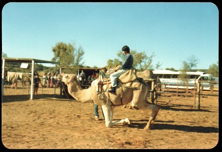 Camel riding near Alice Springs NT -- June 1982