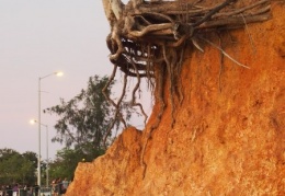 Nightcliff Sea Breeze Festival Darwin NT