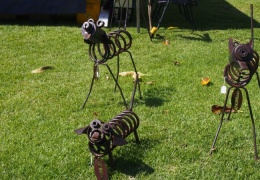 Darwin Waterfront Saltwater Craft Fair