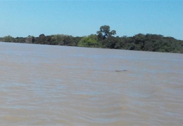 jumping crocodiles on the Adelaide River