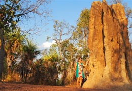 Giant termite hills in Litchfield NP
