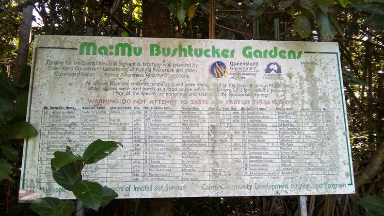 innisfail-mamu-bushtucker-gardens.jpg