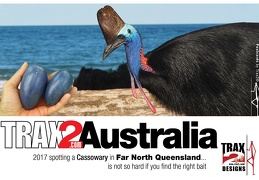 Cassowary is the 3rd largest bird in the world