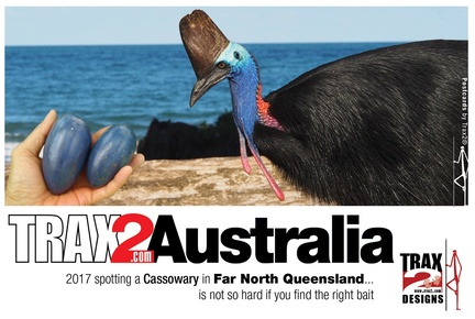 Cassowary is the 3rd largest bird in the world