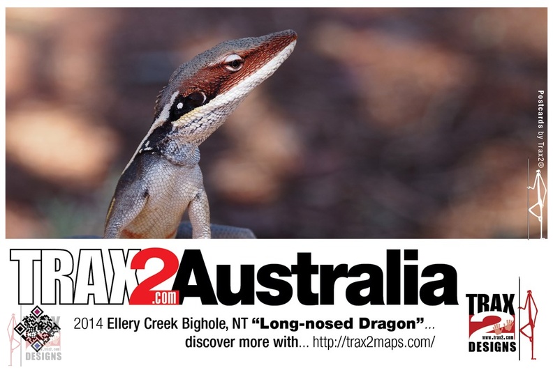 trax2-long-nosed-dragon.jpg