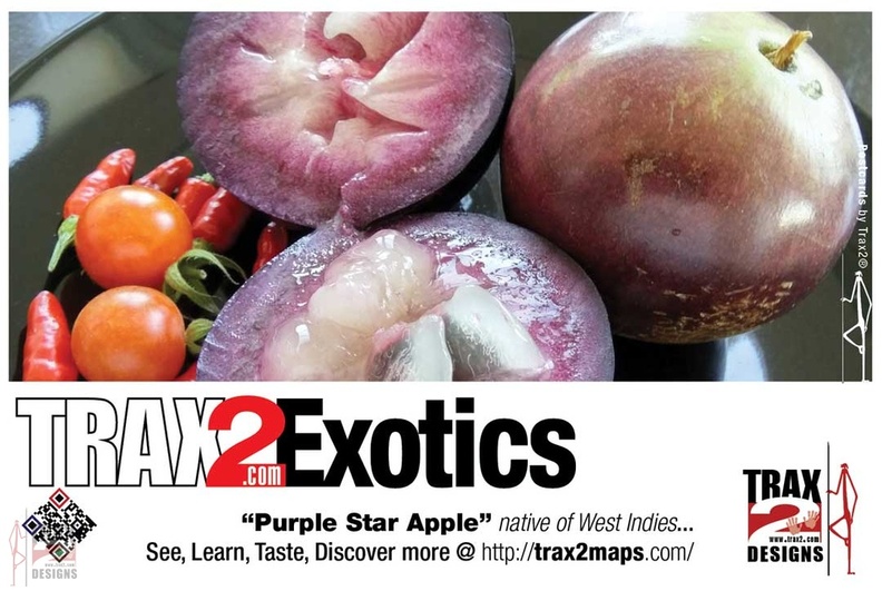 trax2-exotics-purplestarapple.jpg